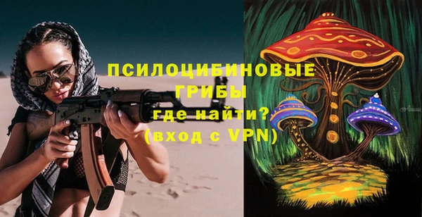 спиды Инта