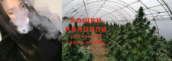 спиды Инта