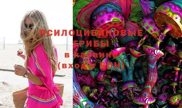 спиды Инта