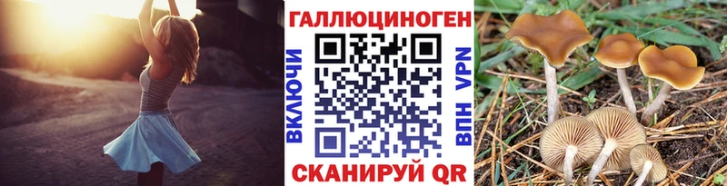 Галлюциногенные грибы GOLDEN TEACHER Купить Макаров